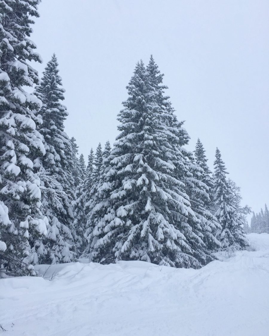 A6BE7C71-FFCA-4B23-A8B7-2FDF691D287D-e1514545886202 - Manchester & lössnö