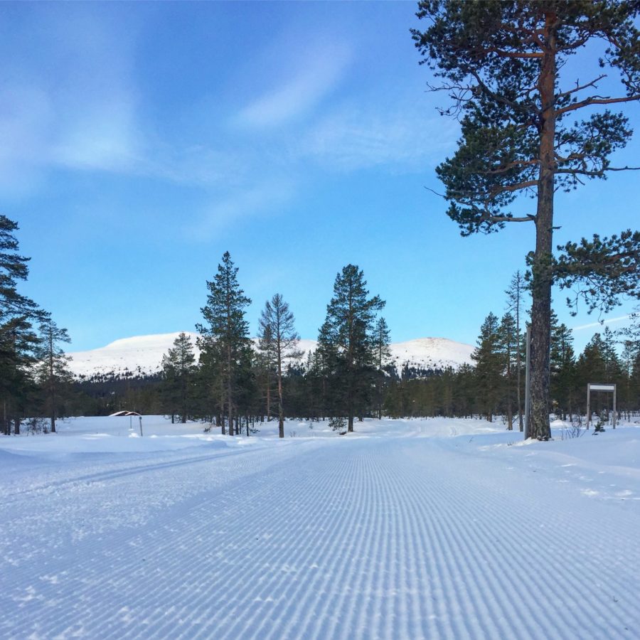 A768F784-373C-4F86-B8BB-FA5F455B8A50-e1514628373178 - Trysillöpning