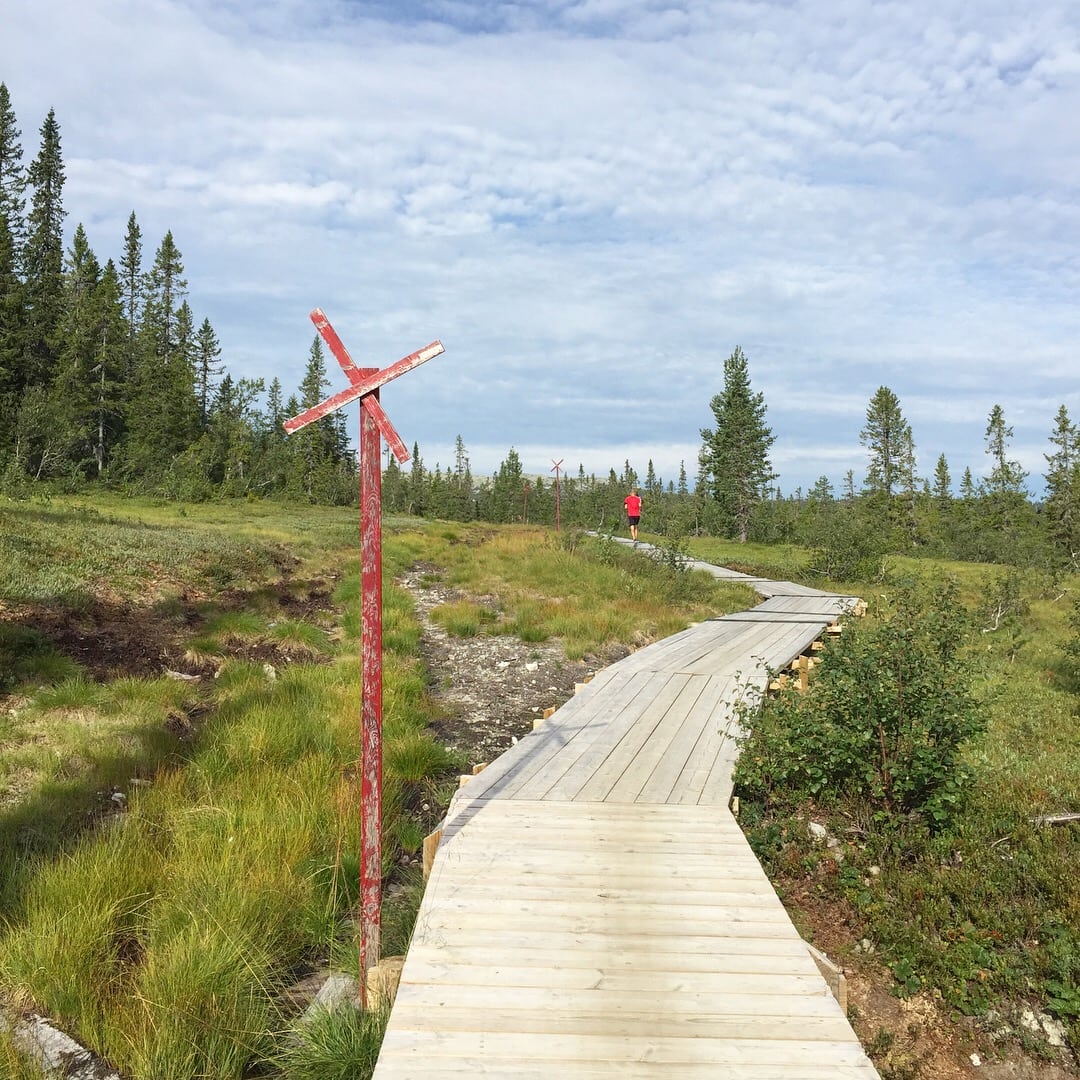Fjellrundan