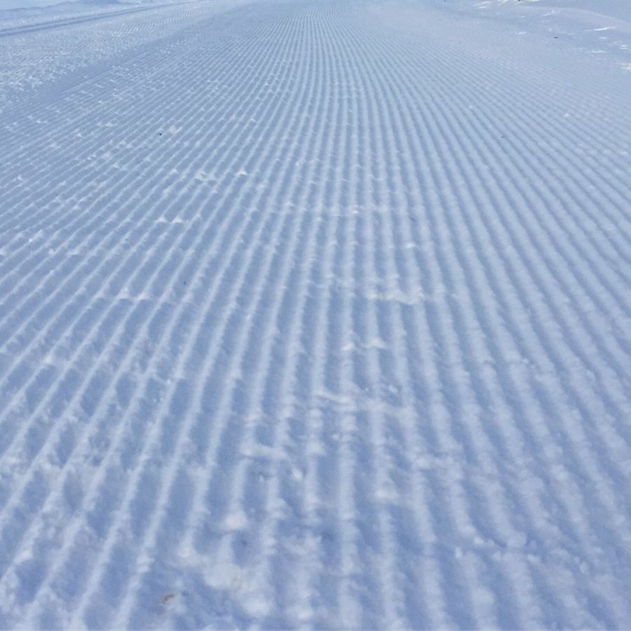 B3E80AB8-07DF-45C9-B1EC-C276FFDD0489-e1514543391989 - Manchester & lössnö