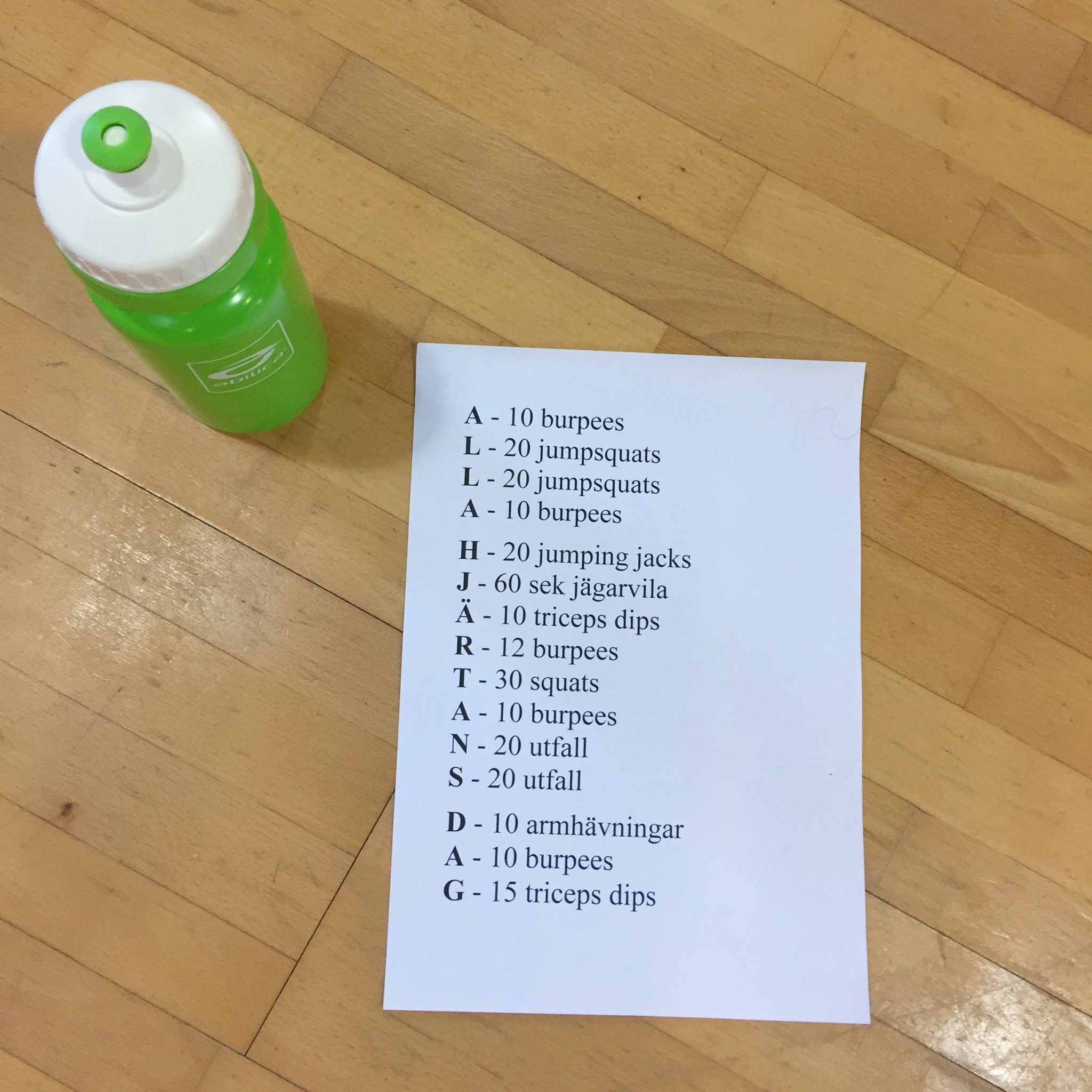 BED0E061-FD6B-420A-921D-BCF8BB1D13AC - Träningspass v. 7