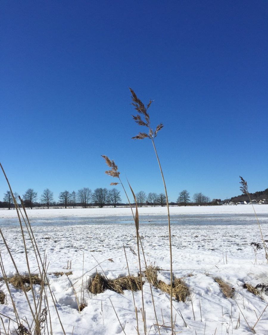 C2D6F182-78C3-44A5-B8AD-7EE112C91BD4-e1521376343631 - L i v s k v a l i t é ! ! !