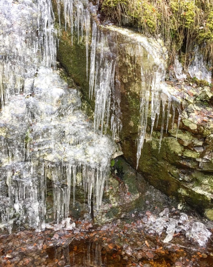 C65DED25-8535-476C-9C7D-AEF102EC527D-e1515936123485 - Andra längsta löpningen någonsin