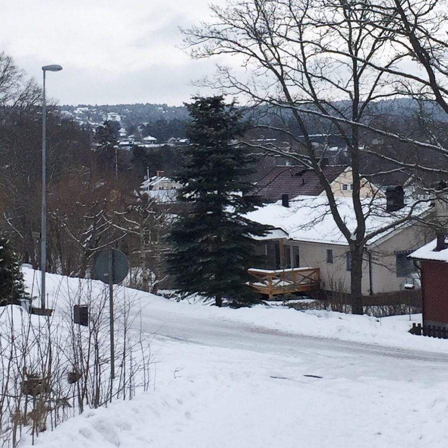 CD099C92-7C03-4137-85DF-062A4C3C28EE-e1520681104284 - Backträning...