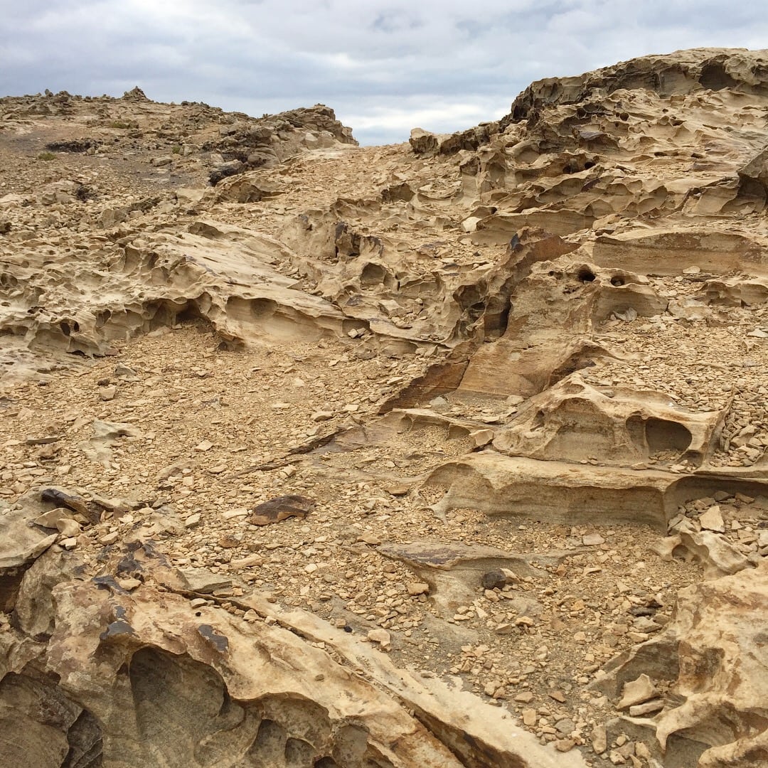 D0A76282-3007-4871-A8E3-9688C14F5311 - Tidig morgonlöpning i blåsten