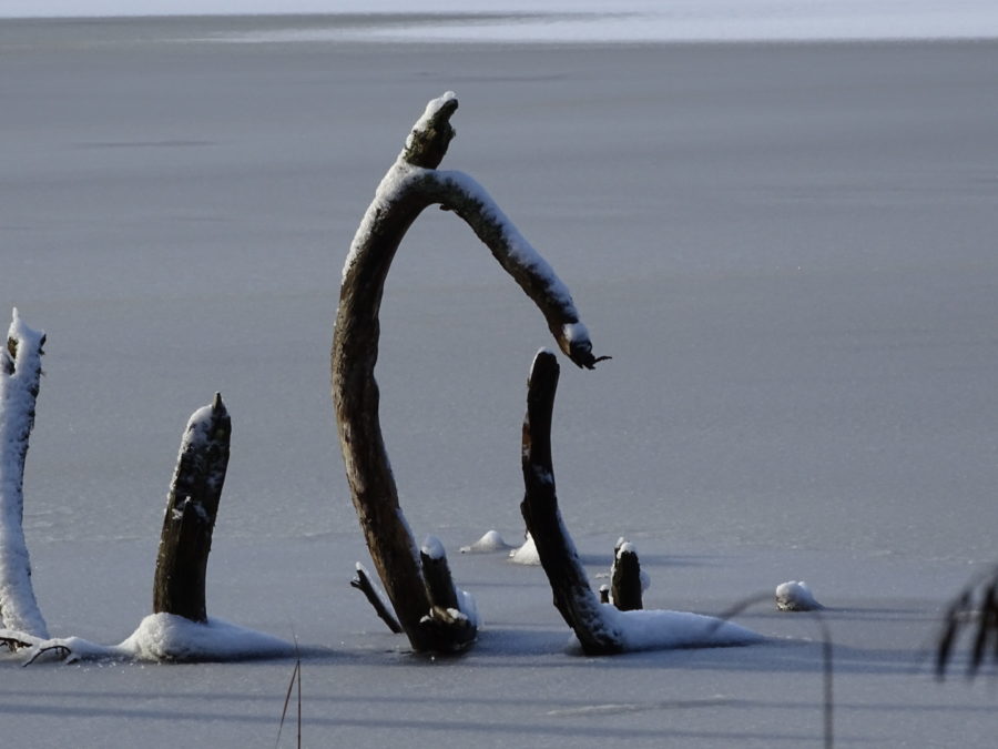 D6D6331D-23DE-4BA8-9A64-7107A41EE37D-e1517495706558 - Snöpulsning