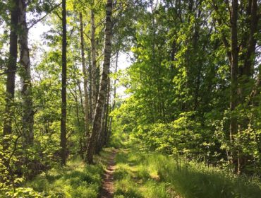 D78AAB73-0BCF-41DA-8D28-BF5BAFD5A2BC