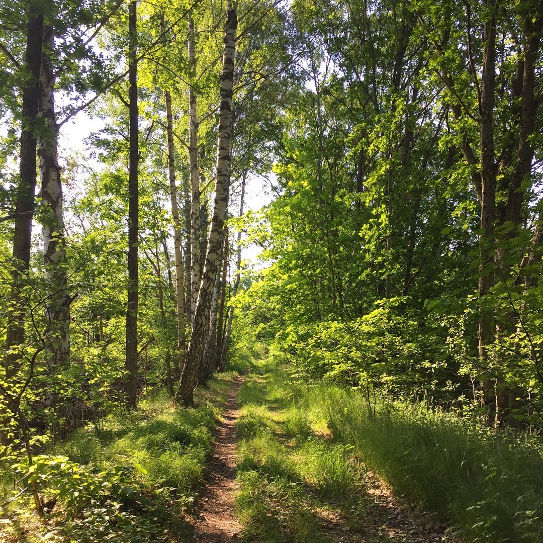 D78AAB73-0BCF-41DA-8D28-BF5BAFD5A2BC - Så himla förbannad!