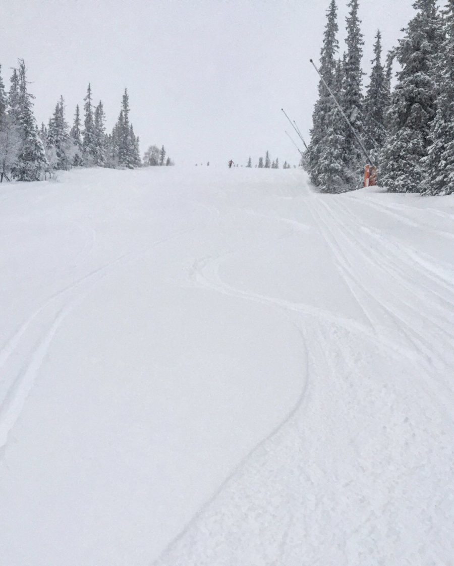 DC5CE102-4085-487E-AA3E-E71E95FB3C5E-e1514545795560 - Manchester & lössnö