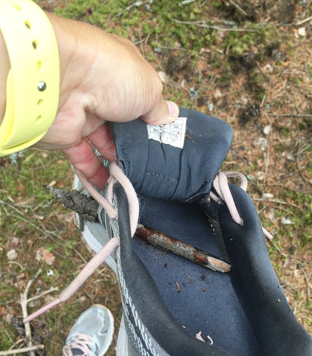 DE78D00C-9F0D-431C-956E-BFCDED1A7DBC - Trail på riktigt