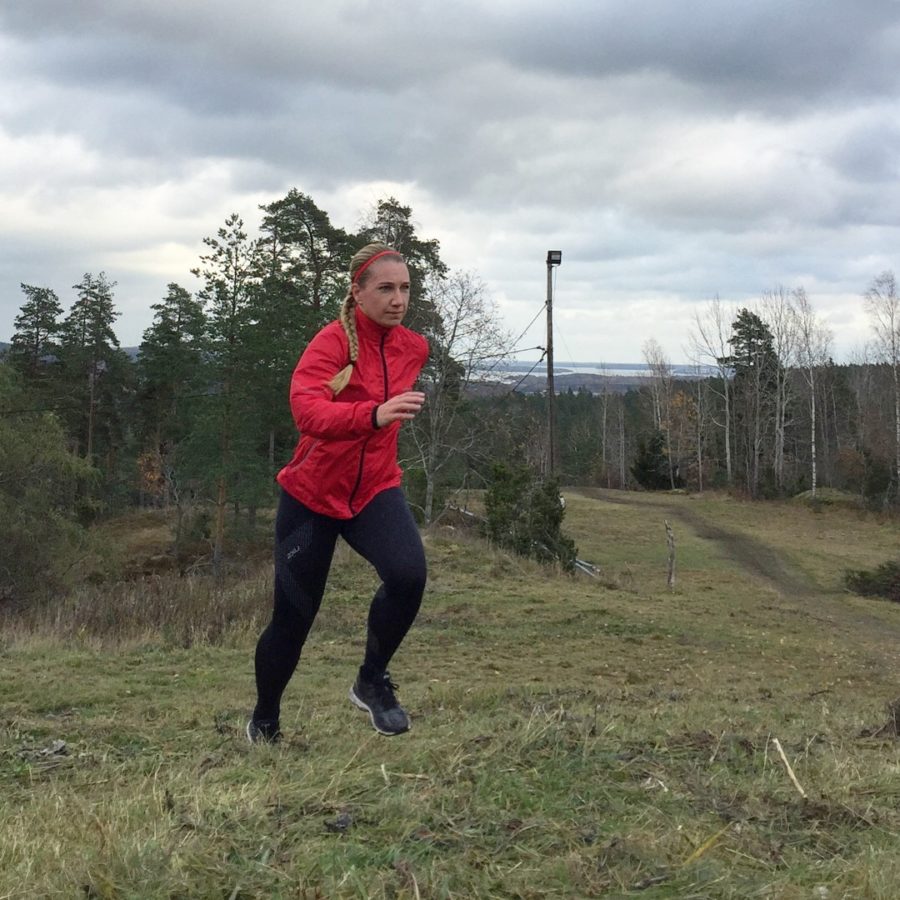 F3A924D7-44B8-4A3A-AA75-59A755D6899D-e1509801225526 - Tips på halvmara?