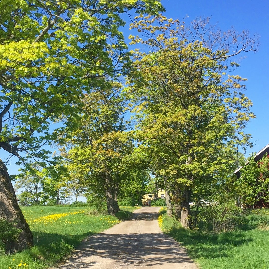 F3B4D4EF-B116-4A83-A7EC-E52210197CE3 - Som jag har längtat