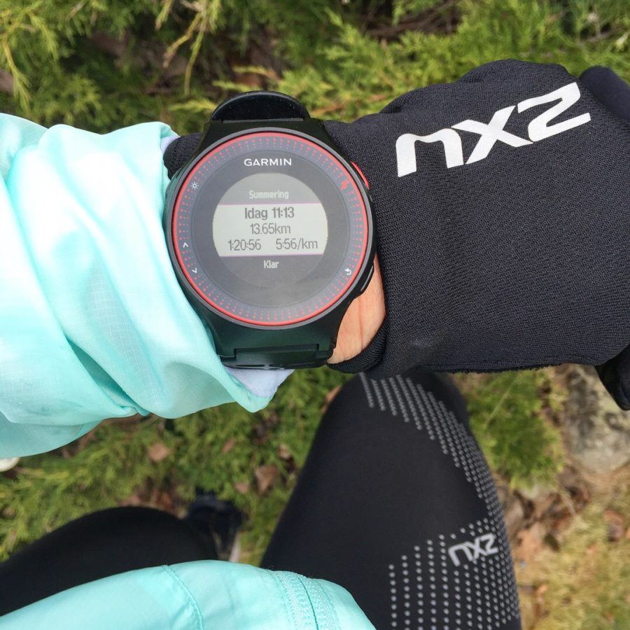 F593E9BC-5D9F-44B5-B2B7-E7D6903FAF5D-e1515936091611 - Andra längsta löpningen någonsin