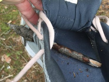 F5DCA2AA-6C33-4786-9D4A-77DDCF0784B3