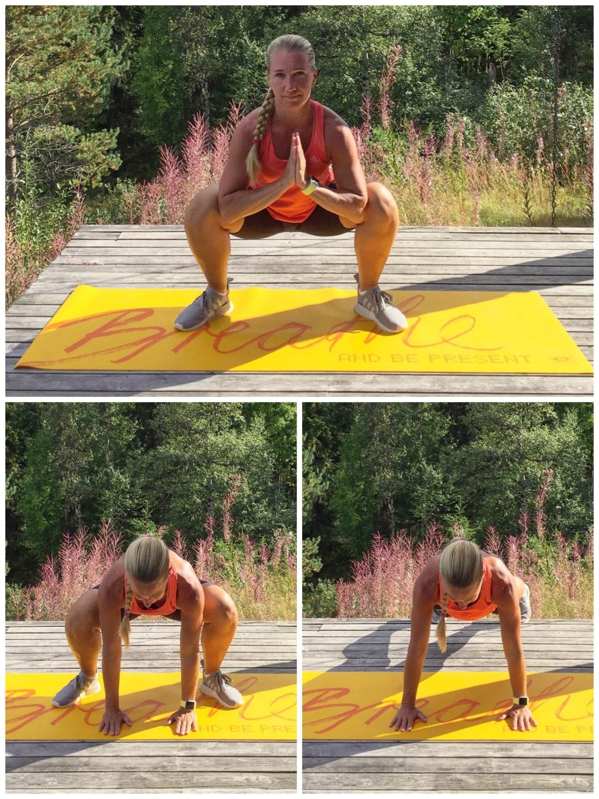 Cirkelpass v. 32 i fjällen