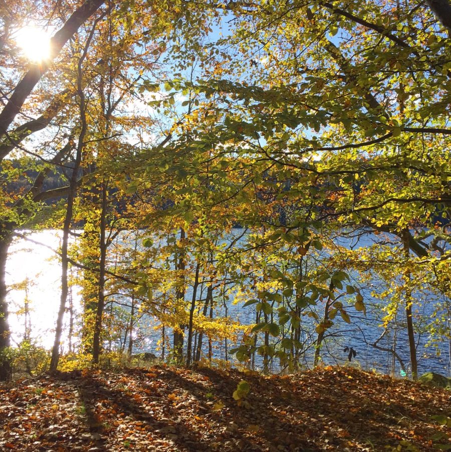 FA7CB6D1-9B6B-4C21-A261-E81BCA9B4F56-e1509282481442 - Känner livet i mig...