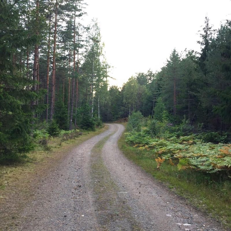 IMG_0347-e1505984061612 - Mitt-i-veckan-löpning