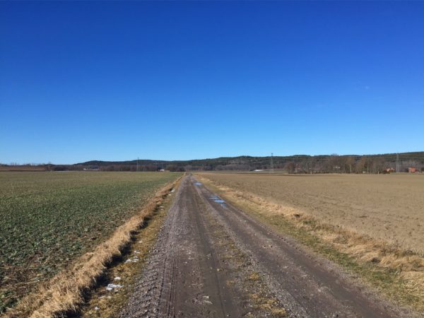 IMG_1467-e1487942242809 - Härligt...