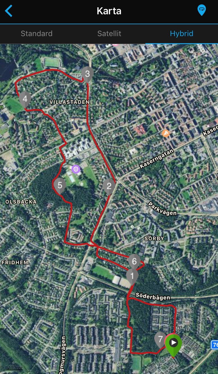 IMG_2584 - Stadslöpning i Gävle