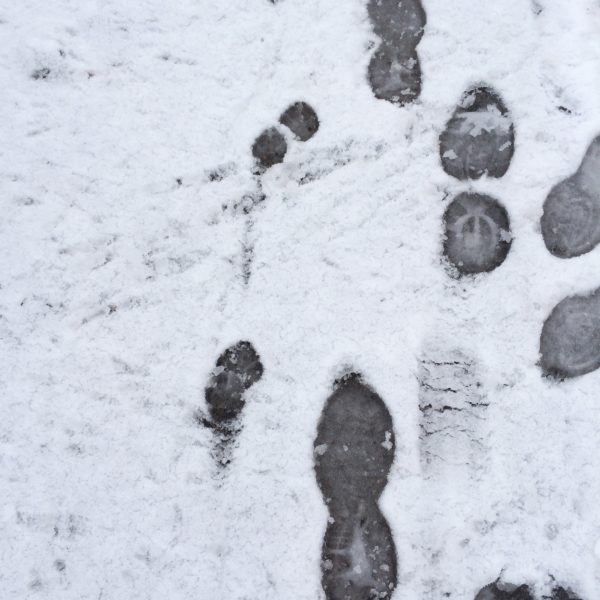 IMG_2798-e1488103356646 - Söndagsintervaller