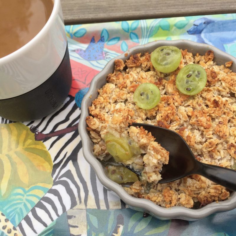 IMG_3035-e1502282968790 - Krusbärspaj