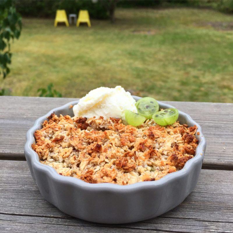 IMG_3037-e1502282840287 - Krusbärspaj