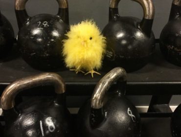 IMG_3254-e1492252793786