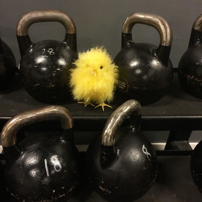 IMG_3254-e1492252793786 - GLAD PÅSK