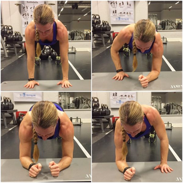 IMG_3490-e1485465249223 - Cirkelpass v. 7