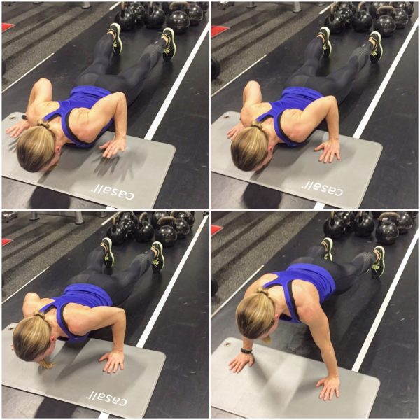 IMG_3491-e1485465273261 - Cirkelpass v. 7