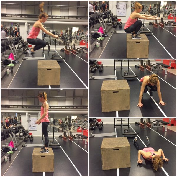 IMG_3495-e1485465441446 - Cirkelpass v. 23