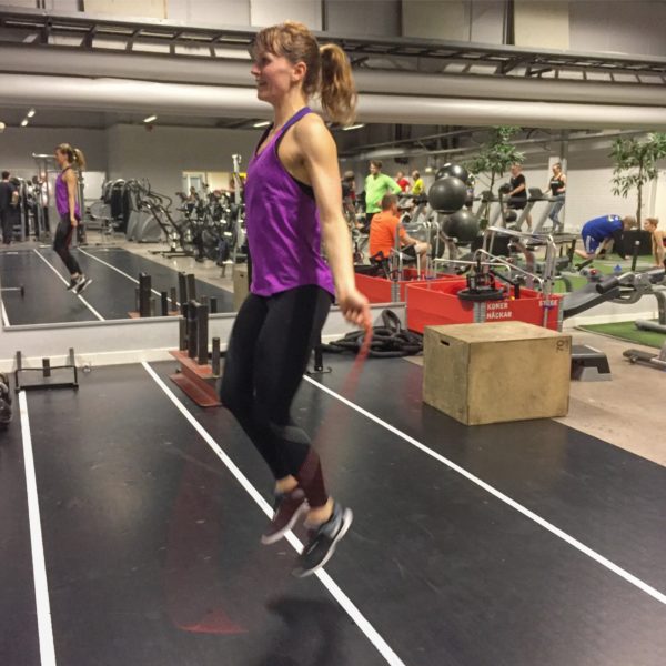 IMG_3500-e1485465890473 - Cirkelpass v. 7