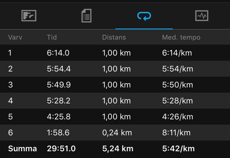 IMG_4299 - Fartökning