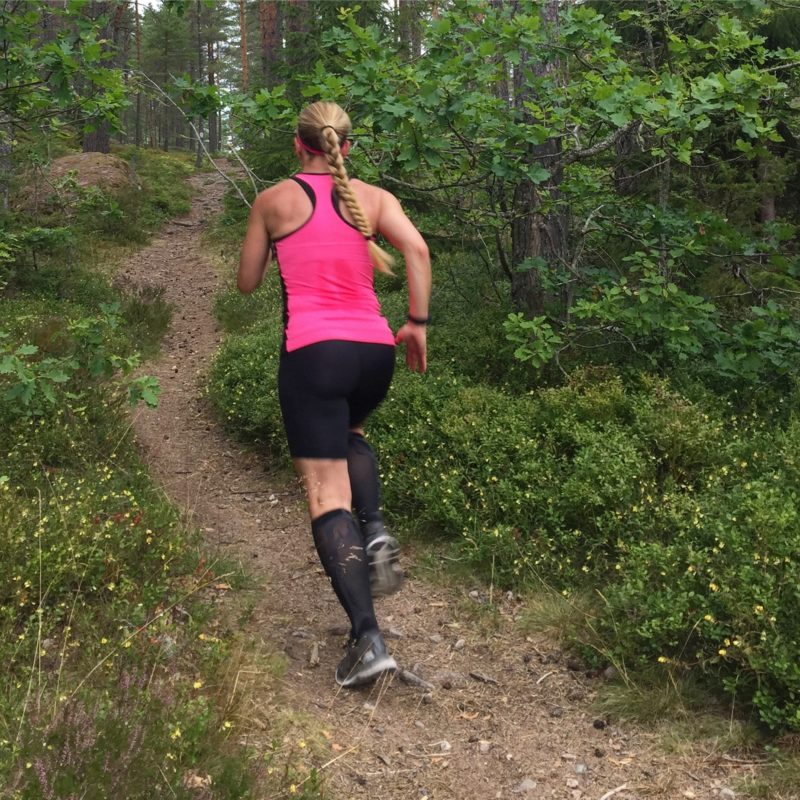 IMG_4300-e1502988161455 - Fartökning