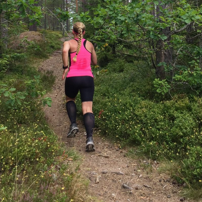 IMG_4301-e1502988219914 - Fartökning