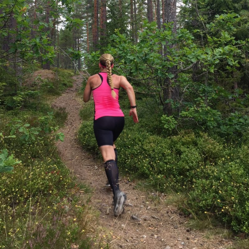 IMG_4302-e1502988192468 - Fartökning