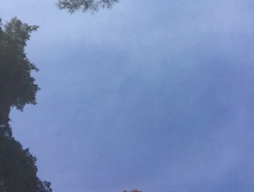 IMG_4303-e1502988128855