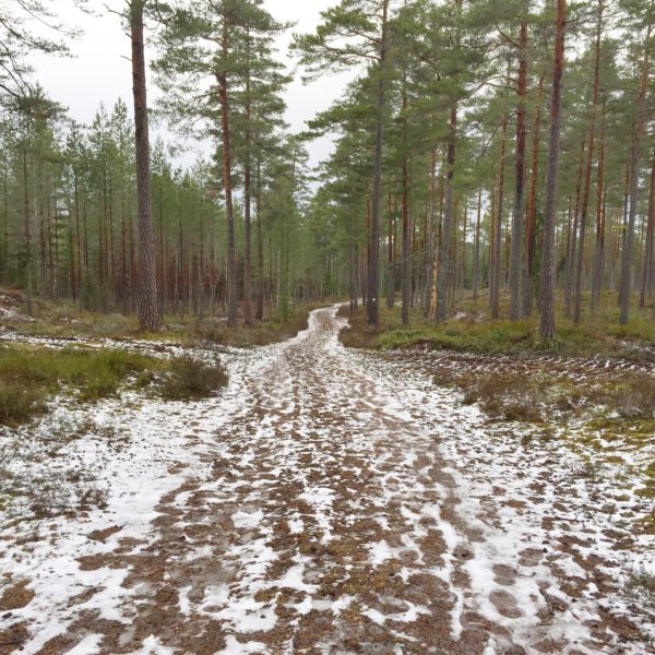 IMG_5004-e1489150931595 - Utmanade mig själv i snöslasket