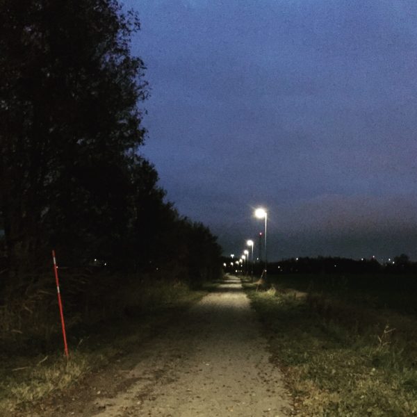 Kvällsväg