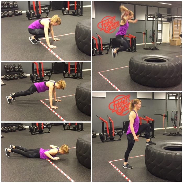 IMG_6676-e1492430992271 - Cirkelpass v. 17