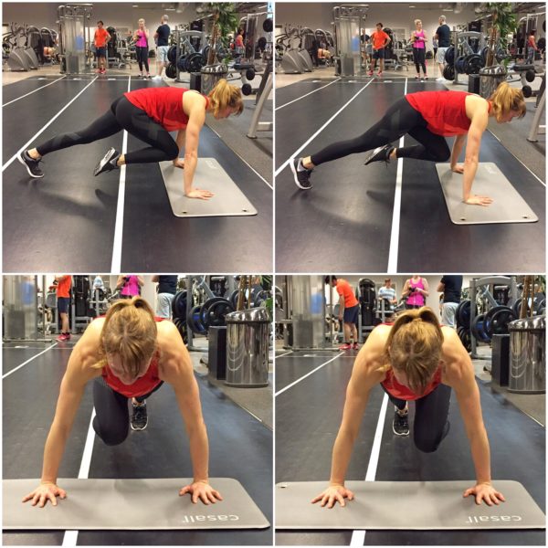 IMG_7191-e1496610674860 - Cirkelpass v. 23