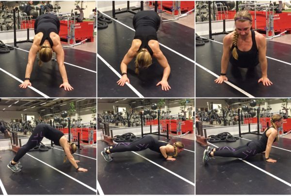 IMG_7205-e1496610949614 - Cirkelpass v. 23