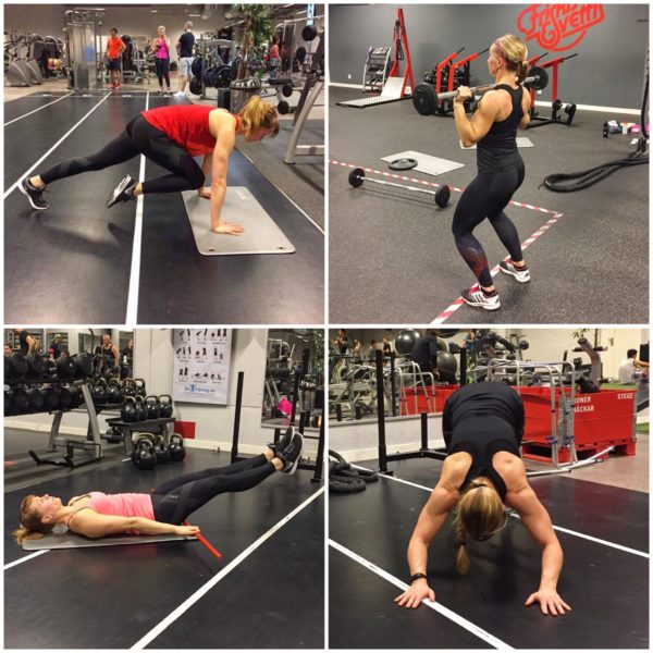 IMG_7213-e1496613166599 - Cirkelpass v. 23