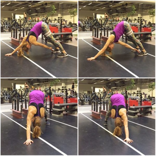 IMG_7276-e1497192244390 - Cirkelpass v. 24