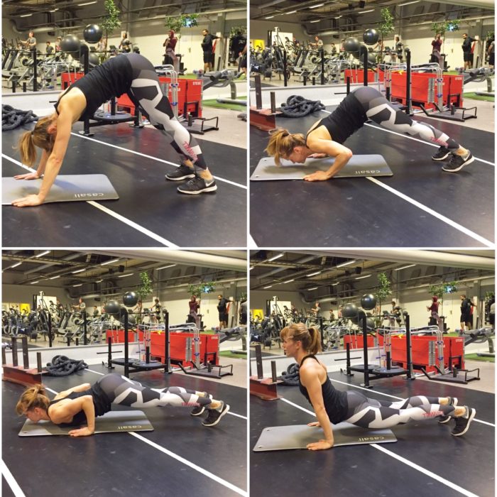 IMG_7485-e1494846135221 - Cirkelpass v. 20