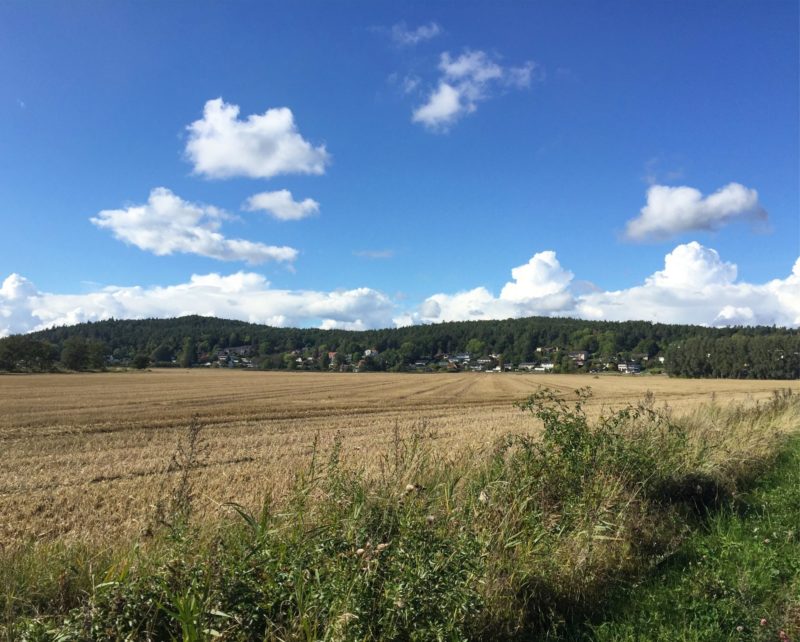 IMG_7531-e1505568463724 - Lördagsflow