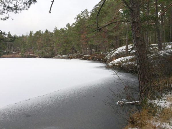 Herrsjön