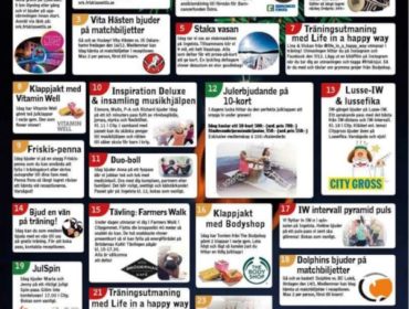 IMG_7960-e1480007943135