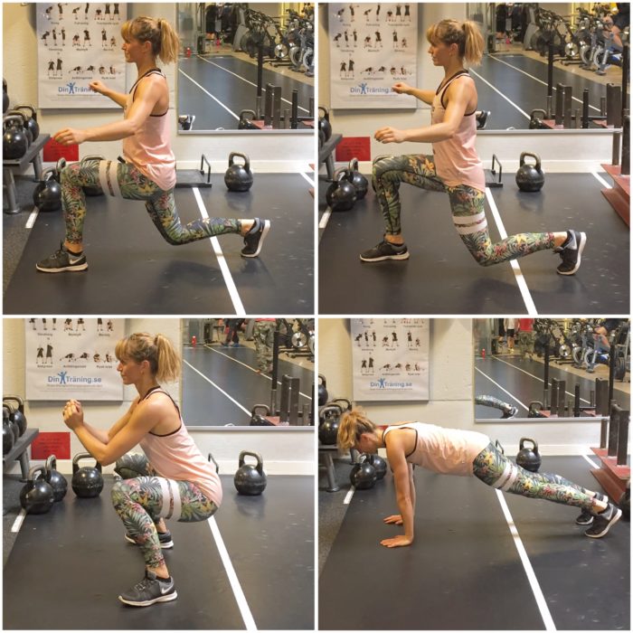 IMG_8372-e1498312992256 - Cirkelpass v. 26