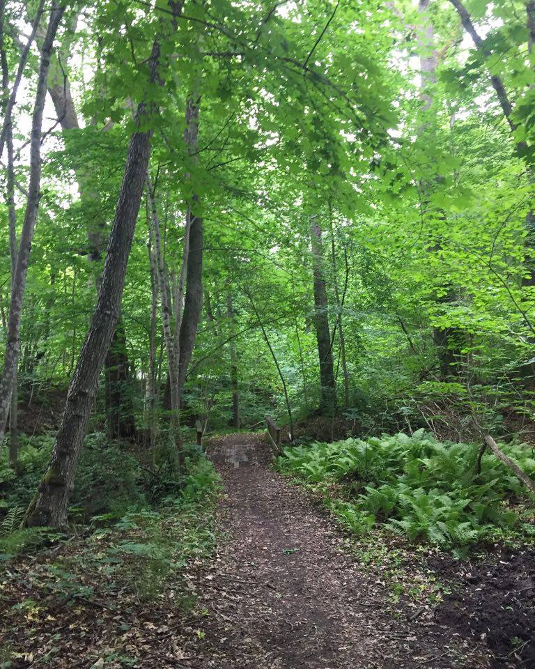 favoritmilen vid Yxbacken